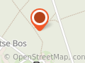 Bosjesfestival