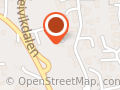 Anine Lie Berg Privat