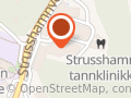 Strusshamn Post i Butikk