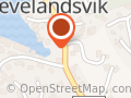 Aina Irene Fagerland Tveit
