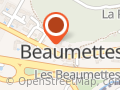 Au Ralenti Du Lierre