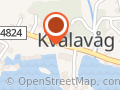Pikene På Bryggen Anne Kvalevaag