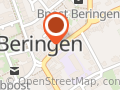 Meesen r