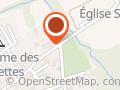 Les Dauphins