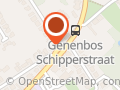 De honingbeertjes