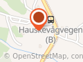 Hausken Tore Johannes - Hausken Tore
