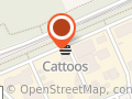 Cattoos