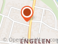 Stichting Drive-in Show "blue Flamingo"