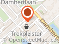 Trekpleister