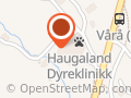 Haugaland Dyreklinikk