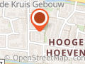 Lingebloei Interieurbeplanting