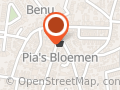Isa's bloemen