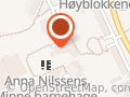Anna Nilssens Minne SA