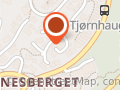 Berge Biomed AS