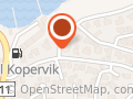 Rune Pedersen Transport
