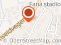 Fana Auto As