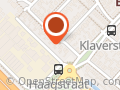 Leny de Vos van Erp