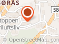 Amis Holding AS