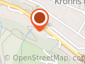 Raddums Ønskemaleri