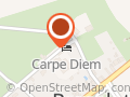 Carpe Diem
