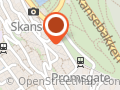 Aarskog Nesse Group