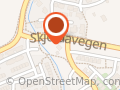 ladyoglandstrykerenhundeskole