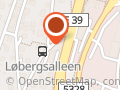 Solveigs Hundesalong Solveig Næss