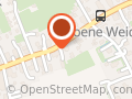 Bonte Bentheimer Varken