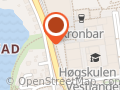 Linjeforening for Elektronikk Ved Hib