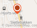 Bente Skarveland
