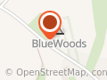 bluewoods.nl