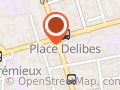 Libellule menage