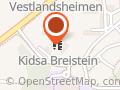 Kidsa Breistein