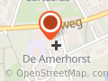 Stichting Huisvesting Voor Ouderen 'de Amerhorst'
