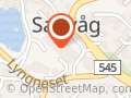 Kiwi Sagvåg