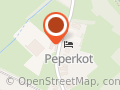 Beelen patrik