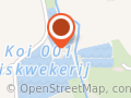 De Ijsvogel