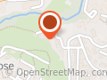 LA TISANE MIRACULEUSE