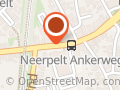 Arp