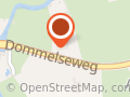 Steigerhoutstunter.nl