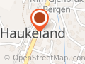 Bergen Automatutleie AS