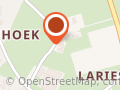 Trouwkoets Leentje