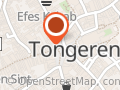 Ting Yung Hsien