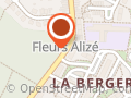 Alizé Fleurs