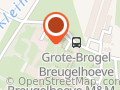 Bruegelijs