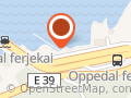 Hallvard S Oppedal