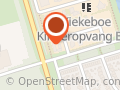 Praktijk Dynamiek