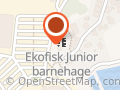 Stiftelsen Ekofisk Junior