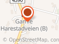 Anne Karin N Tvedt