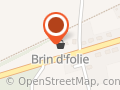 Brin de Folie